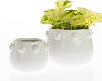 Puka Ceramic Pot for Plant | White Ceramic Planter (5" x 4" OR 6.5" x 5")