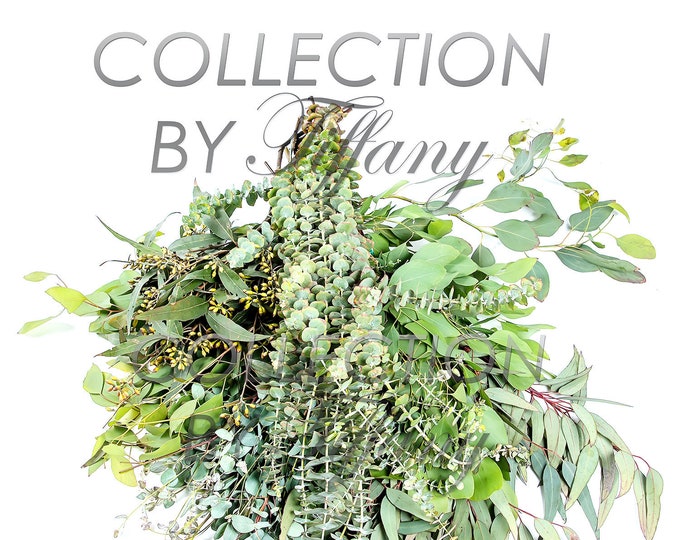 Fresh Eucalyptus Stress Releaser| Baby, Gunni, Parvafolia, Seeded OR Silver Dollar (Sell in Single Bunch)