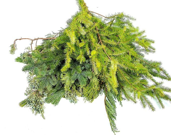 Fresh Christmas Greens | Fresh Cedar for Christmas (Sell By Single Bunch)