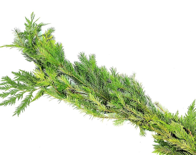 Fresh Christmas Greens Garland l Cedar Douglas, Pine OR Cedar Great Scent (Garland 15FT)