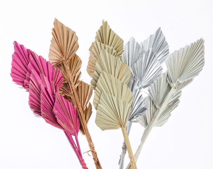 Decorative Dried Palm Spears l Natural Palm Fan | 5 Stems Per Bunch (Sell By Single Bunch)