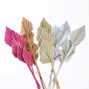 Decorative Dried Palm Spears l Natural Palm Fan | 5 Stems Per Bunch (Sell By Single Bunch)