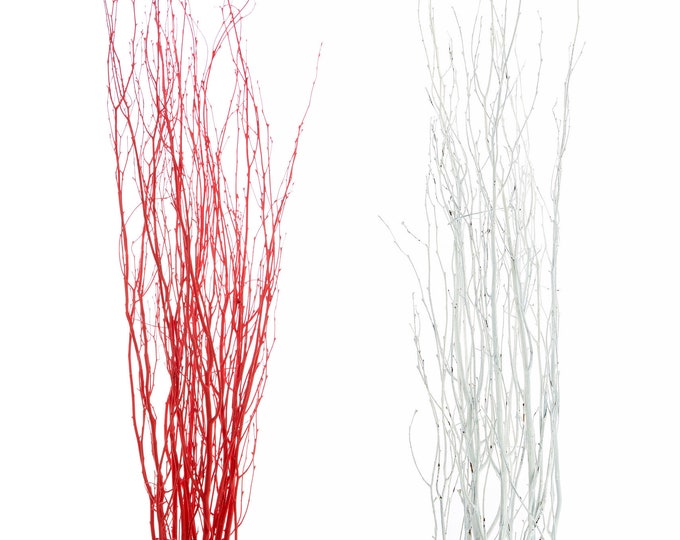 Birch Branches 3-4 Ft, Pack of 5 OR 15 | Snowy White or Fire Red |