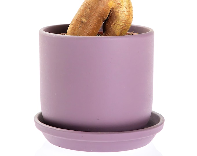 Kayla Terracotta Pot for Plant (5"x5") (CR6567PU)