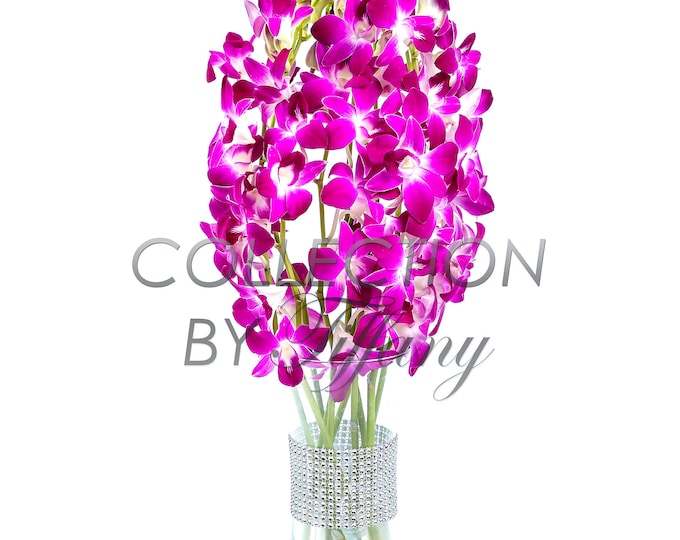 Fresh Dendrobium Cut White with Vase Diamond Mesh Bling Bling (10 Stems/Bunch)