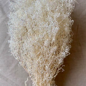 May include: A bundle of dried, cream-colored flowers with delicate, wispy stems and tiny, clustered blooms. The floral arrangement is tightly bound at the base, creating a full, textured appearance. The neutral tones suggest a natural, rustic aesthetic.
