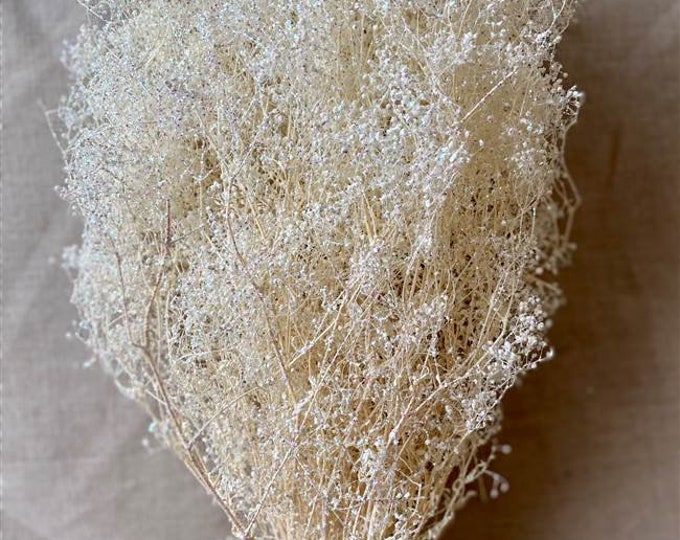 Dried Stardust Gyp (Bleached OR White Sparkle)