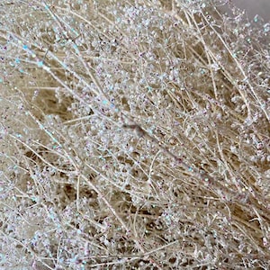 May include: Close-up of a bundle of dried, delicate white stems with tiny, sparkling iridescent beads. The stems have a natural, organic appearance, and the beads catch the light, creating a shimmering effect. Ideal for floral arrangements or decorative displays.