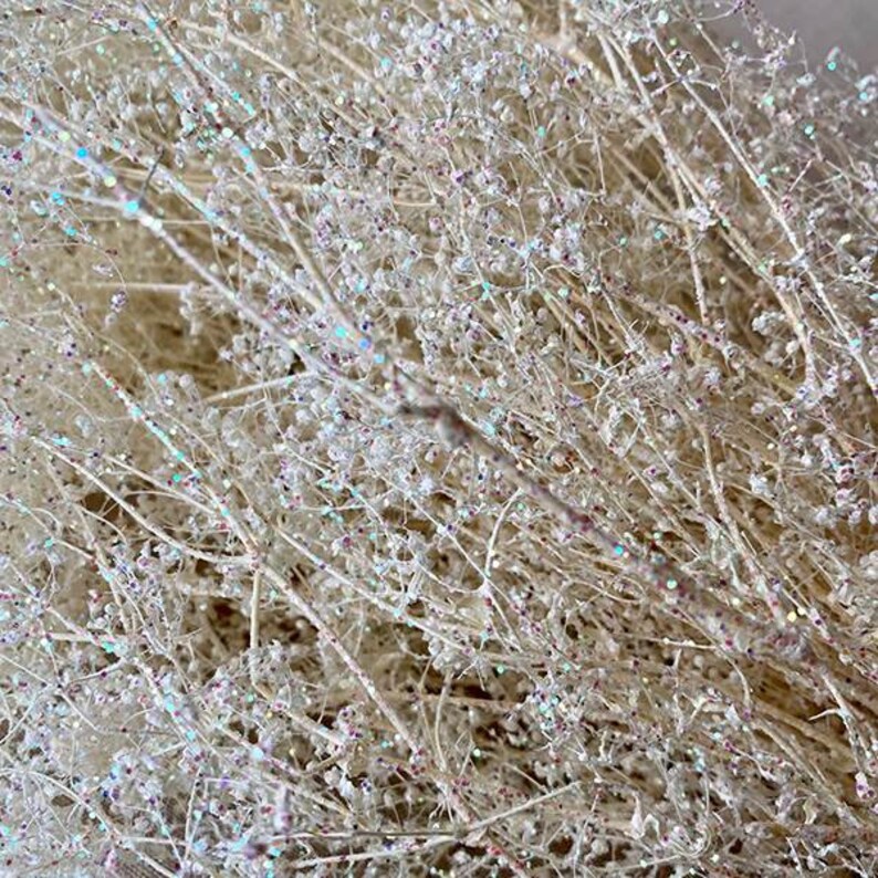 May include: Close-up of a bundle of dried, delicate white stems with tiny, sparkling iridescent beads. The stems have a natural, organic appearance, and the beads catch the light, creating a shimmering effect. Ideal for floral arrangements or decorative displays.
