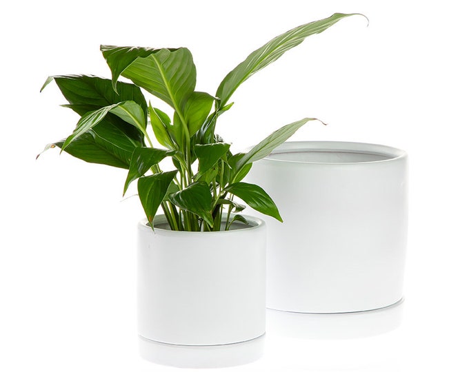 Snow White Pot with Saucer | Matte White Planter (5.5"x6" OR 8"X8") (Sell By Single Piece OR Combo)