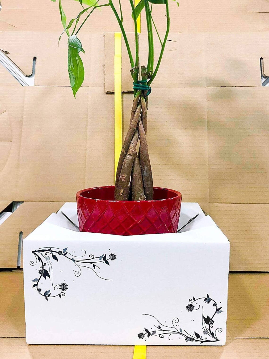 Delivery Boxes Cardboard l Flower Delivery Box l Vase Boxes Etsy