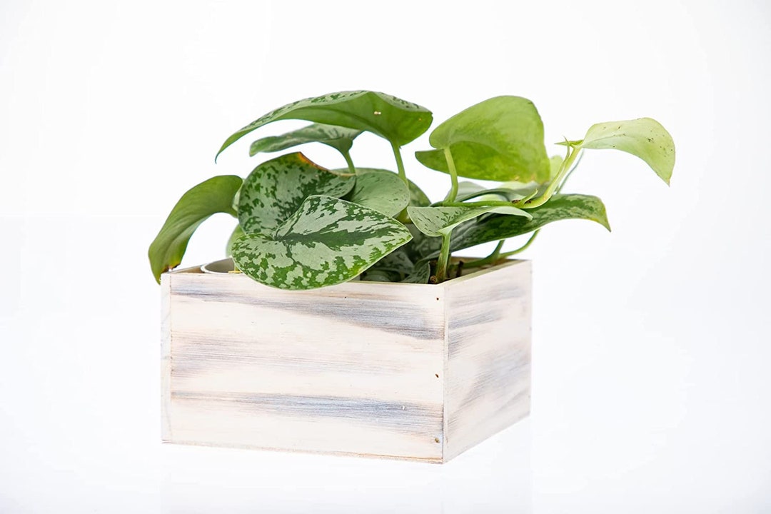 Curated visual reference: Etsy Rustic Wooden Planter Box Reference: Rustic Wooden Planter Box With Liner Set Of 2
