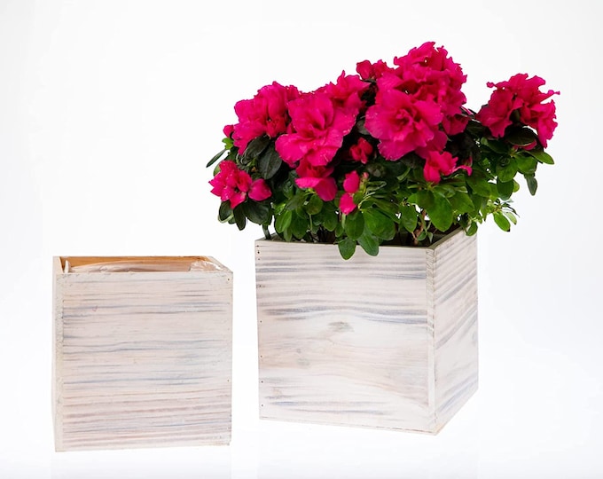 Wooden Planter Box l Square Rustic Wooden Boxes with attached Plastic Liner (7"x7" OR 8"x8")