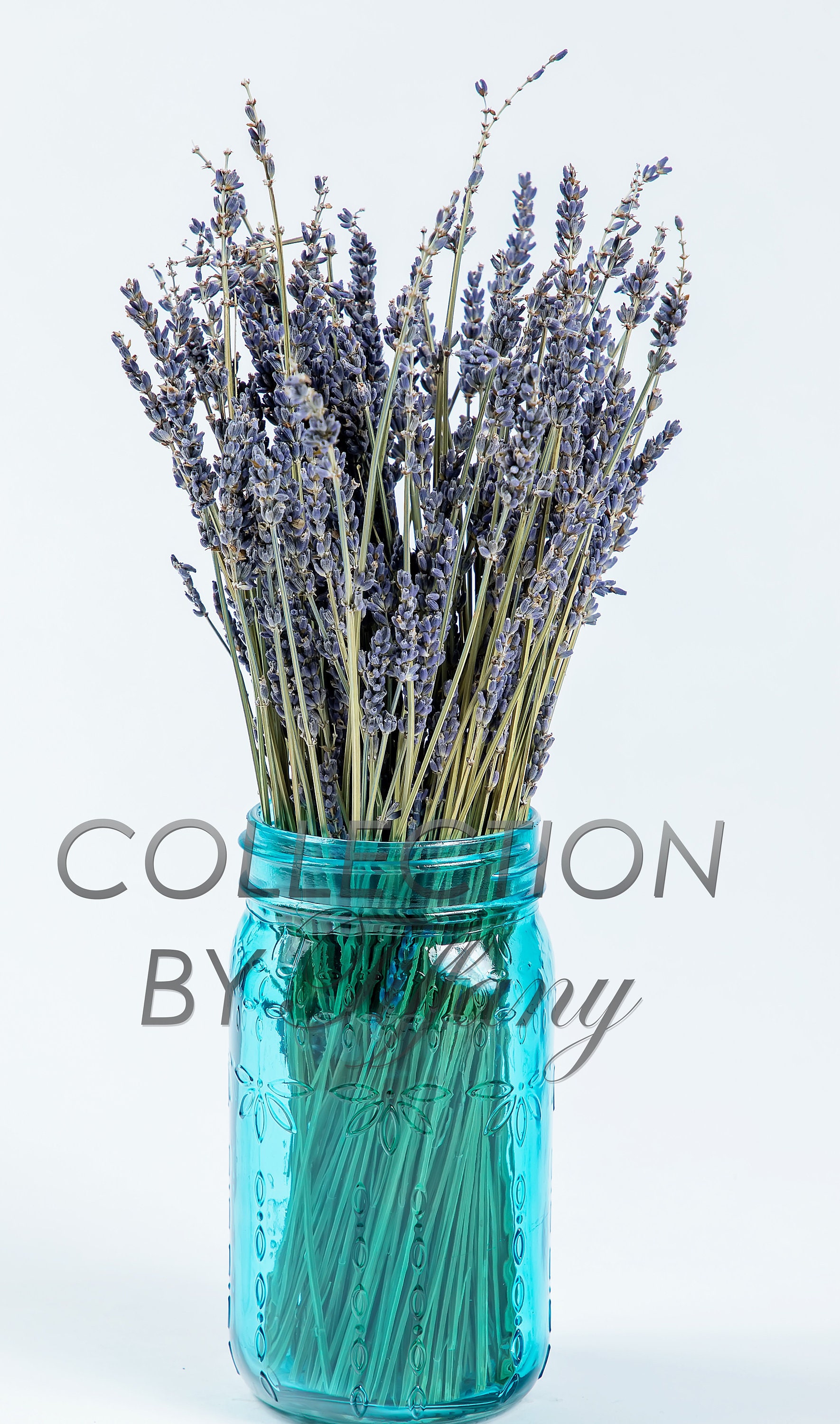 Dried Natural Lavender 1 Bunch with Trendy Mason Jar Etsy