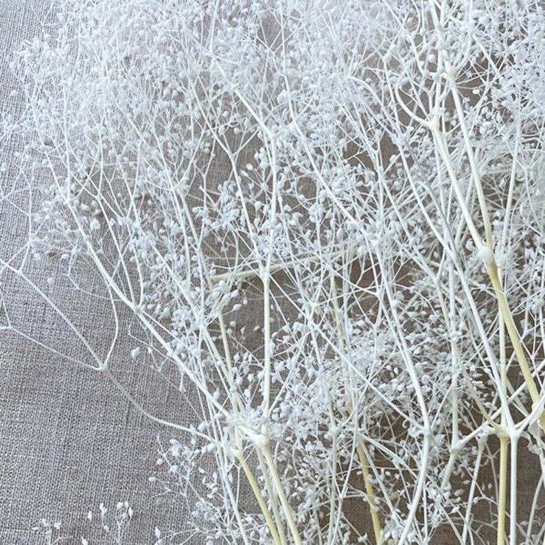 May include: Close-up of white dried baby's breath flowers. The delicate stems and tiny blooms are painted white, creating a soft, textured appearance. The flowers are arranged against a neutral background, perfect for home decor or crafting.