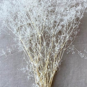 May include: A bundle of dried white baby's breath flowers. The delicate stems and tiny blooms create a textured, airy appearance. The flowers are arranged against a neutral gray fabric background, highlighting their natural beauty.