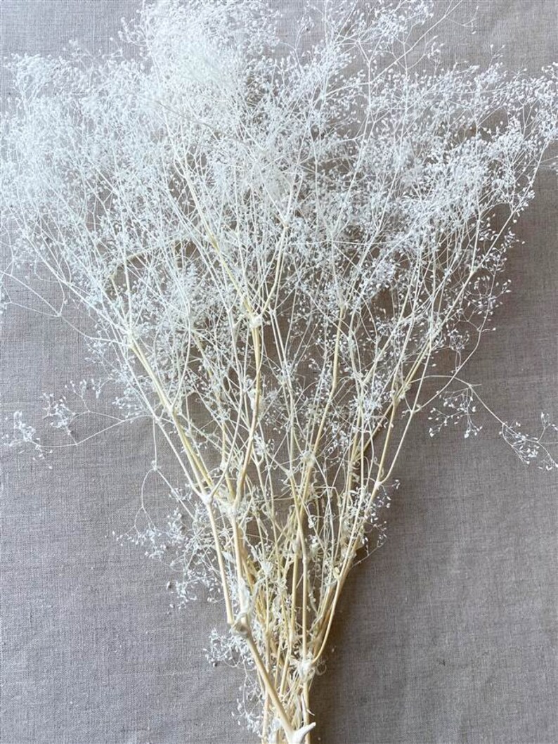 May include: A bundle of dried white baby's breath flowers. The delicate stems and tiny blooms create a textured, airy appearance. The flowers are arranged against a neutral gray fabric background, highlighting their natural beauty.