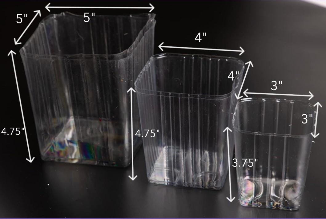 Vaso Per Orchidee Stewart Plastics ⌀13 Cm - Trasparente Con Aperture Laterali E Sottovaso