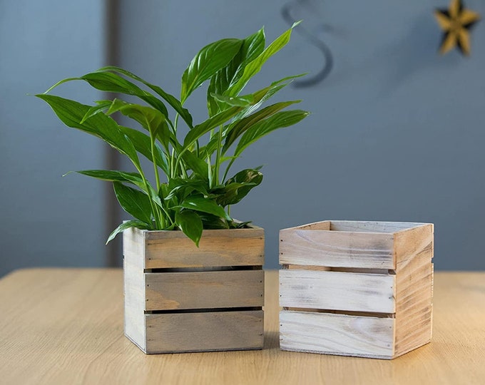 6" Inch Square Wood Planter Box w/ Plastic Liner (Wine Crate Styled)