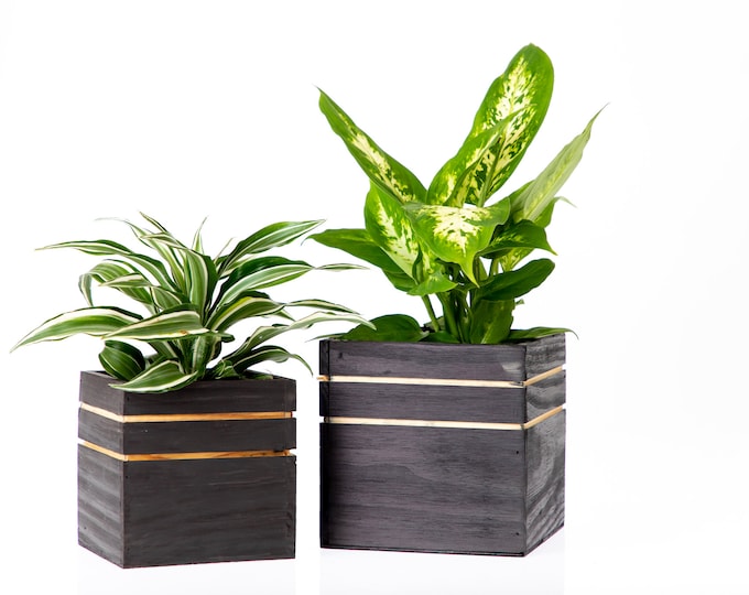 5" Striped Wood Planter Box l 5 Inches Square l Striped Wooden Boxes with Plastic Liner (set of 4)
