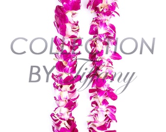 Fresh Graduation Orchid Leis - Single Strand Leis