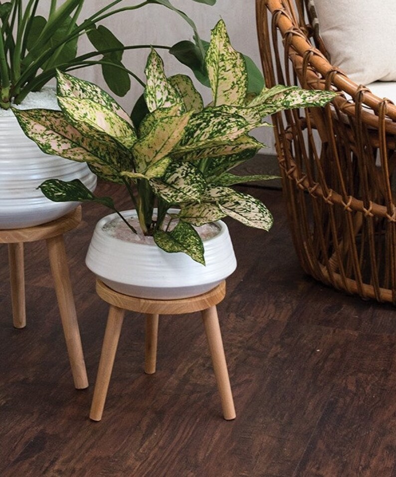 Everett Plant Stand Indoor and Outdoor Planter Etsy