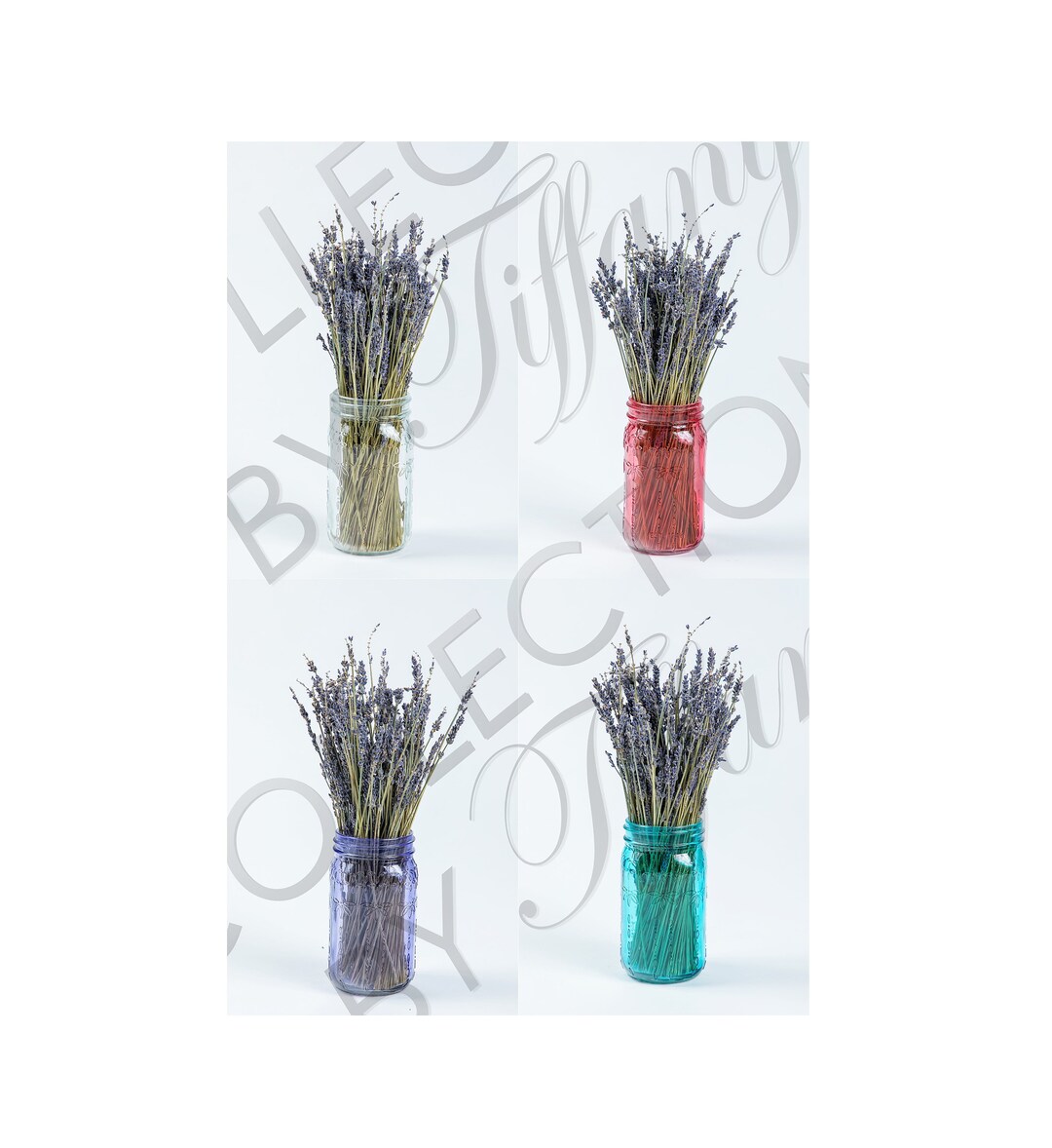 Dried Natural Lavender 1 Bunch With Trendy Mason Jar Etsy