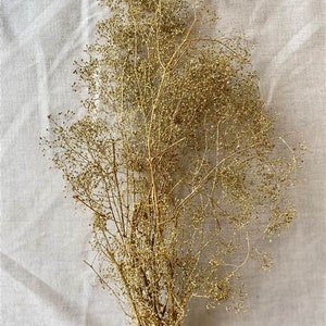 May include: A bundle of dried, golden-colored baby's breath flowers. The delicate stems and tiny blooms are clustered together, creating a textured and airy appearance. The flowers are tied together at the base.