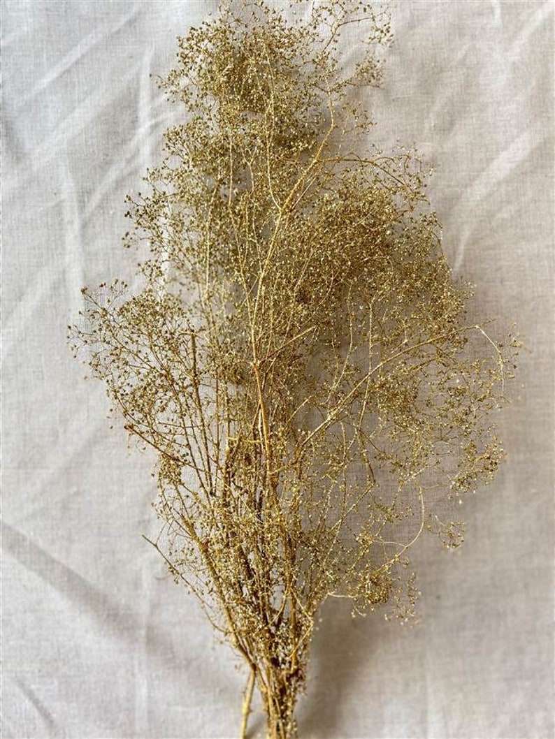 May include: A bundle of dried, golden-colored baby's breath flowers. The delicate stems and tiny blooms are clustered together, creating a textured and airy appearance. The flowers are tied together at the base.