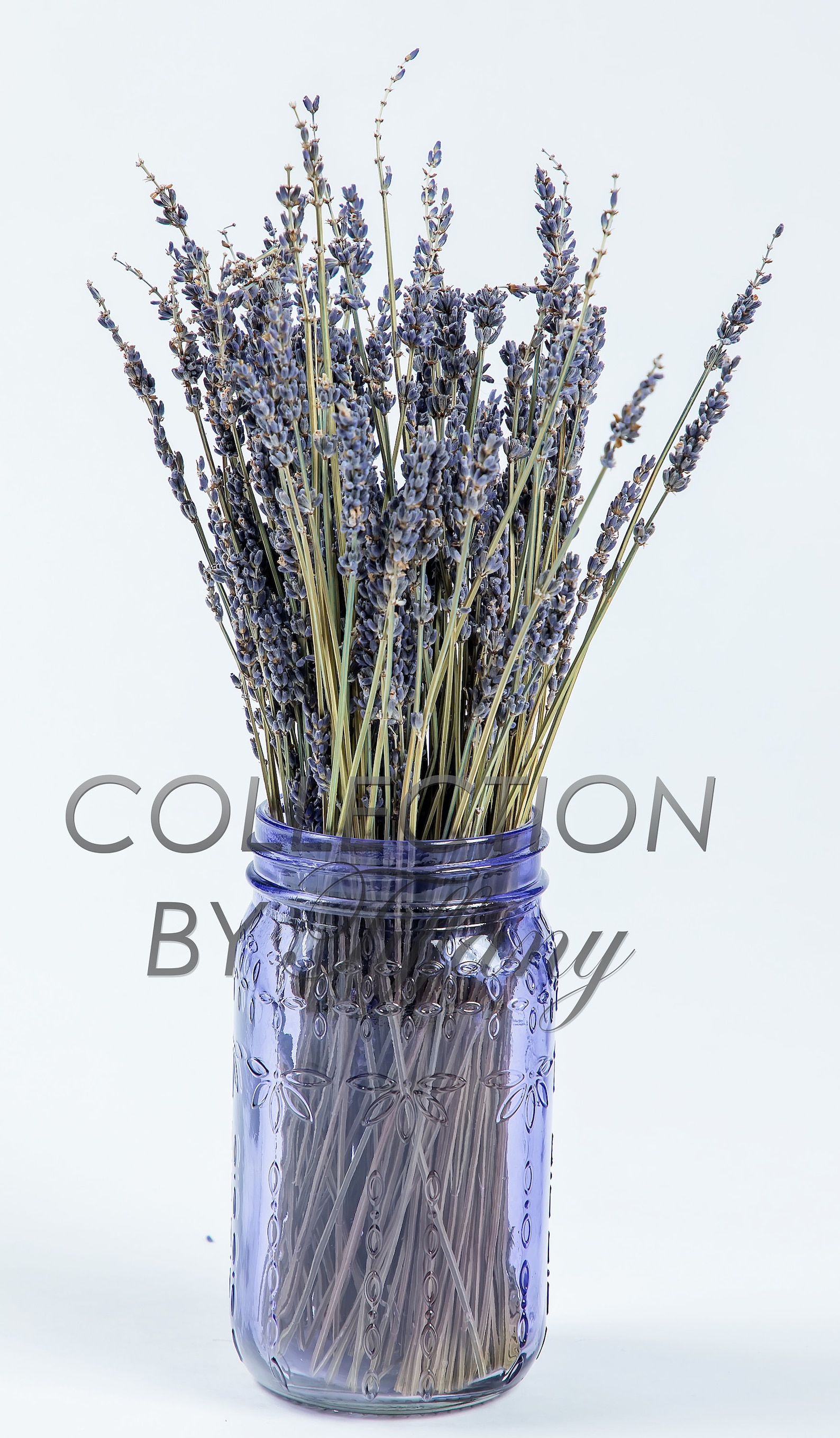 Dried Natural Lavender 1 Bunch with Trendy Mason Jar Etsy