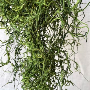 Spanish Moss | Available In 4 Colors | 1lb Bag OR 2 cu ft Box