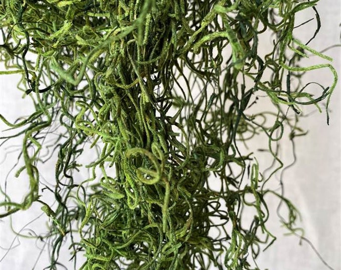 Spanish Moss | Available In 4 Colors | 1lb Bag OR 2 cu ft Box