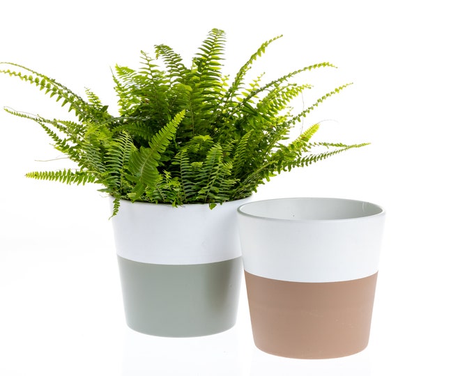 Jayne TerraCotta Pot for Plant | Ceramic Planter Decor  (5.75"X5" OR 7.5"X7")