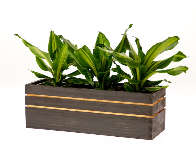 12" x 4" Striped Wood Planter Box l Striped Wooden Boxes with Plastic Liner (set of 4)