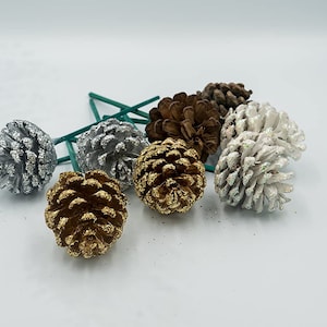 May include: A collection of decorative pinecones in various colors, including silver, gold, and white, with glitter accents. Each pinecone is attached to a green stem. These festive ornaments are ideal for holiday decor.