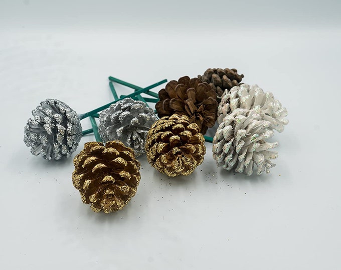 Jersey Cone Pick | Pine Cones for Christmas Decor | 2"-3" (Sell By Pack 12 OR Box of 100)