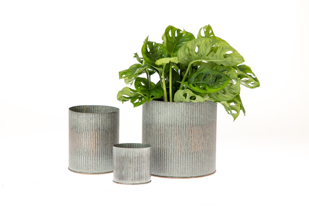 Rustic Tin Vase, Corrugated Sides L Tin Vases for Vintage Wedding Decor