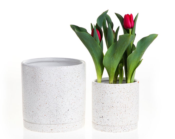 Sand Texture Pot with Saucer | Ceramic Planter / Pot (5.5" x 5.5" or 8" x 8")