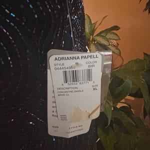 May include: Black dress with concentric swirls design, adorned with iridescent sequins. The tag reads "Adrianna Papell" and indicates size XL. The dress has a BIR color code.