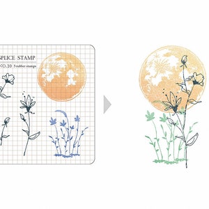 Conjunto de carimbos MU Print On Clear Splice 20 Moon Flowers