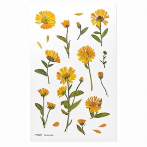 Appree Pressed Flower Stickers Calendula