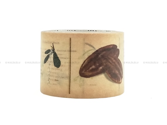 Mt Ex 'Encyclopedia Nuts' Washi Masking Tape - 1 Roll