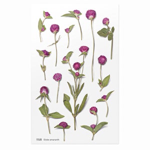 Appree Geperste Flower Stickers Globe Amarant