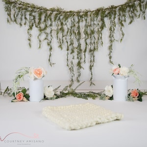 Cake Smash Digital Backdrop