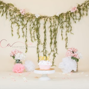 Cake Smash Digital Backdrop