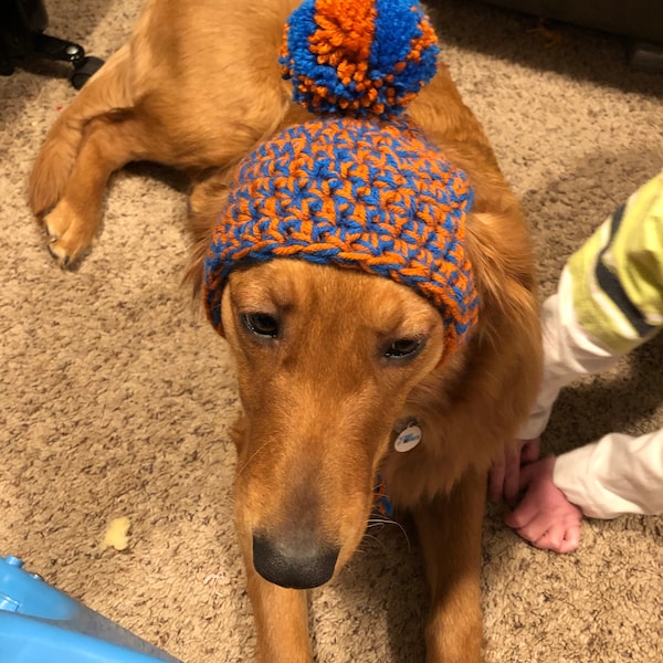 Penny-Dawg Hat, PATTERN ONLY, Dog, Dog Hat, Dog Accessories, Dog Ski Hat