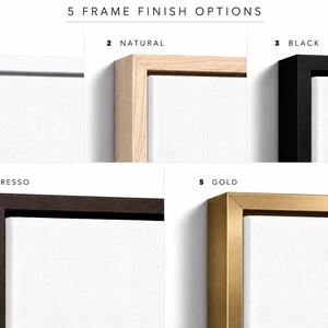 a collection of five different frame finishes, each with a unique color and style, arranged in a grid format.