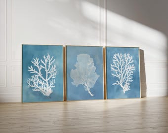 Navy Blue Coral Seaweed Wall Art Set of 6 Prints, Minimalist Watercolor ...