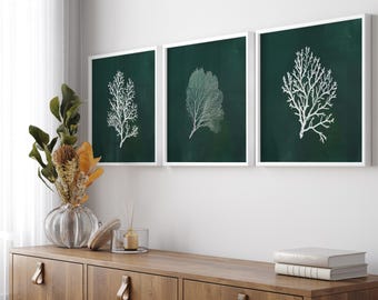 Green Coral Print Set – Coastal Nautical Wall Art