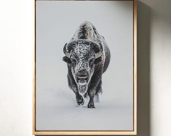 Snowy Bison Wall Decor, Winter Buffalo Print, Rustic Western Art